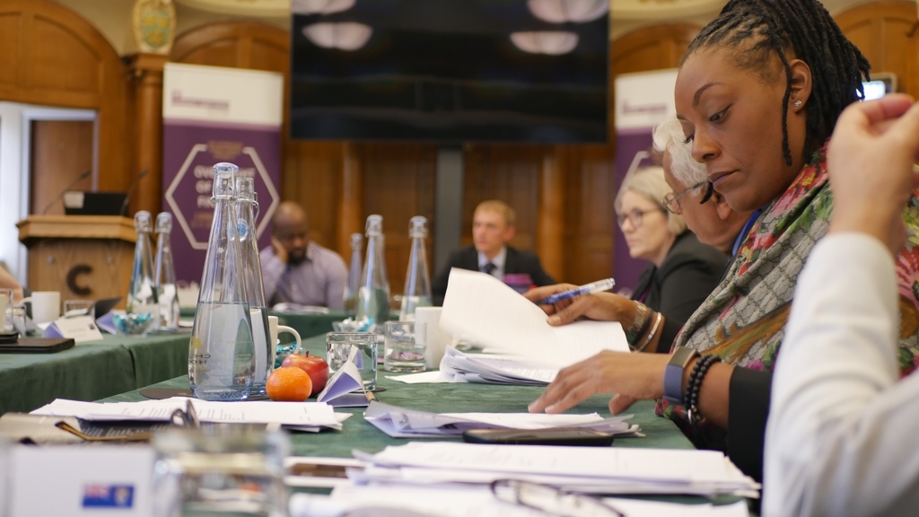 Public Accounts Committees