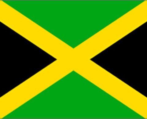 CPA UK Delegation Visit to Jamaica listing image
