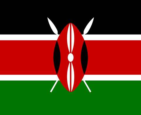 Kenya Parliament Procedure and House Rules Committee Visit listing image