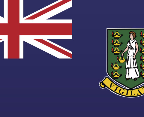 Virtual Training for Parliamentarians from the British Virgin Islands listing image