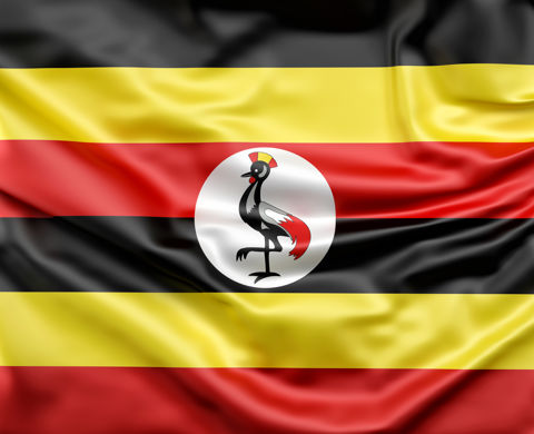 Uganda - Programme for Women Committee Chairs & Members, Part 2 - July 2018 listing image