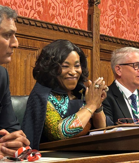 "You, as Parliamentarians, are indispensable." listing image