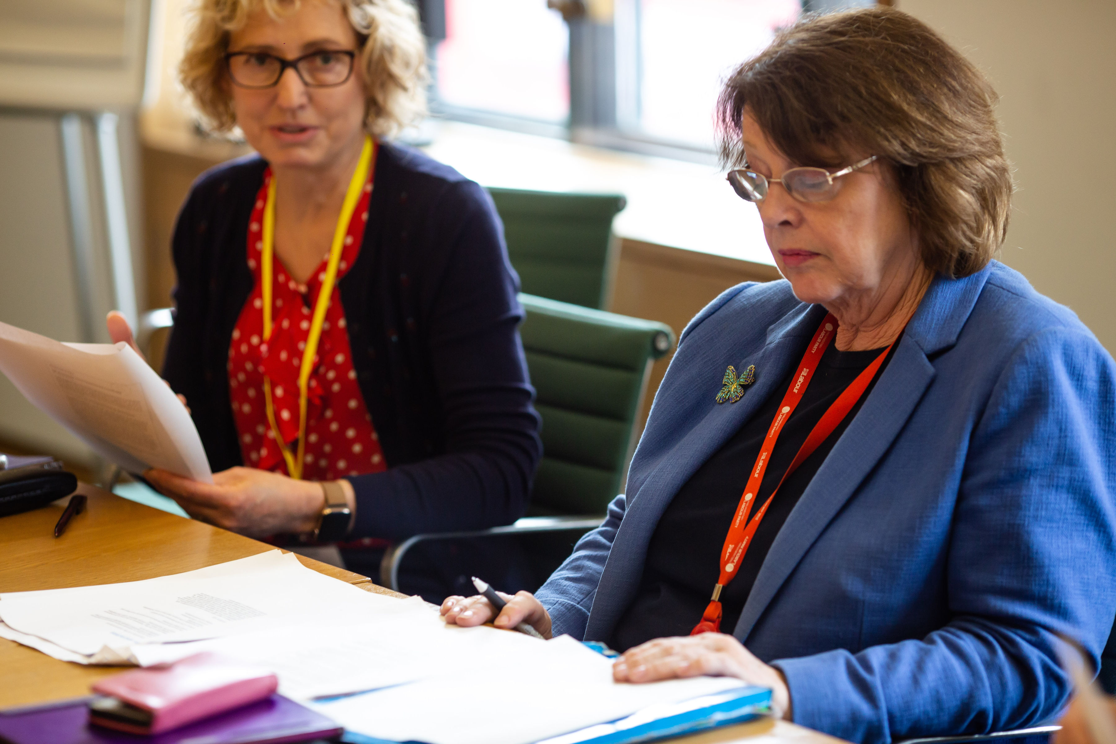 Baroness Thornton discusses the UK Gender Sensitive Parliament Audit