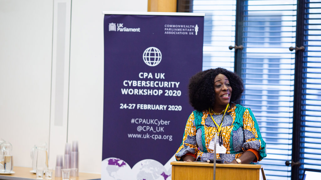 National progress across the Commonwealth was shared and discussed by participants