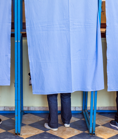 Virtual election observation training equips parliamentarians from across the Commonwealth listing image