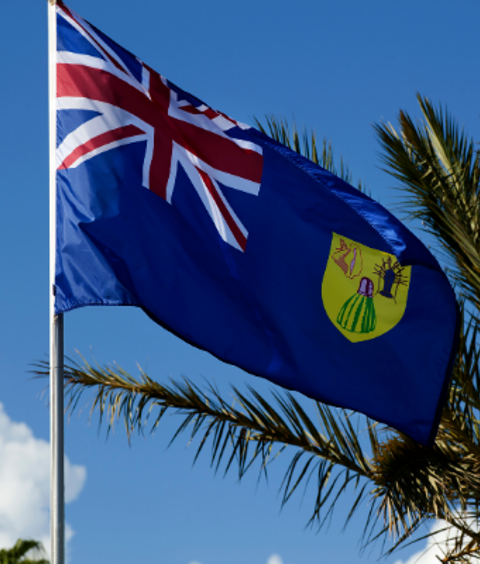 International experts to conduct virtual assessment of TCI General Election listing image