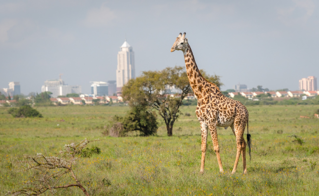 Nairobi, Kenya