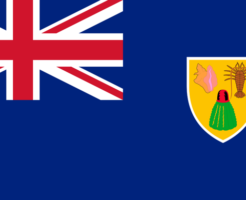 Turks and Caicos Islands Public Accounts Committee Training: Report Published listing image