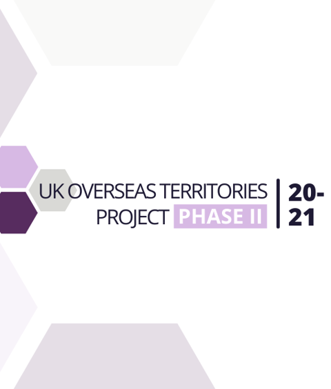 The UK Overseas Territories Project: Looking back at 2020/21 listing image