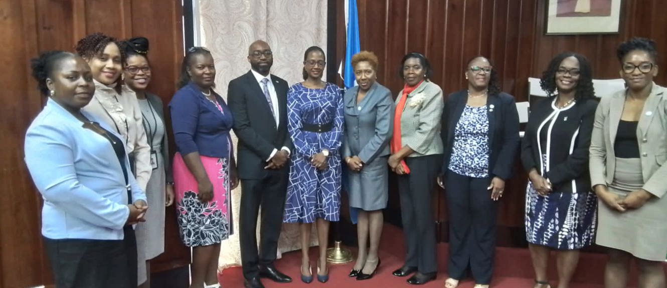 Participating Senators, Members and officials from the Parliament of Saint Lucia