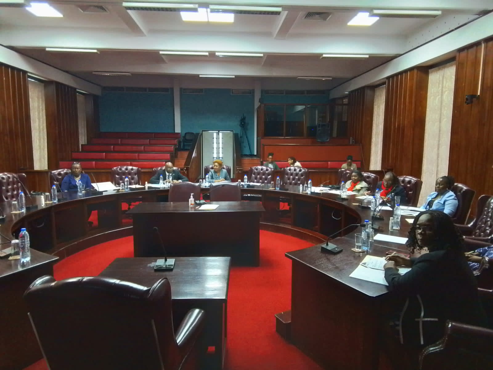 Programme participants in the Chamber of the Parliament of Saint Lucia