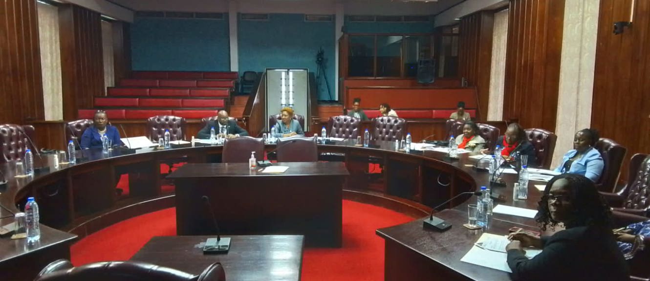 Programme participants in the Chamber of the Parliament of Saint Lucia