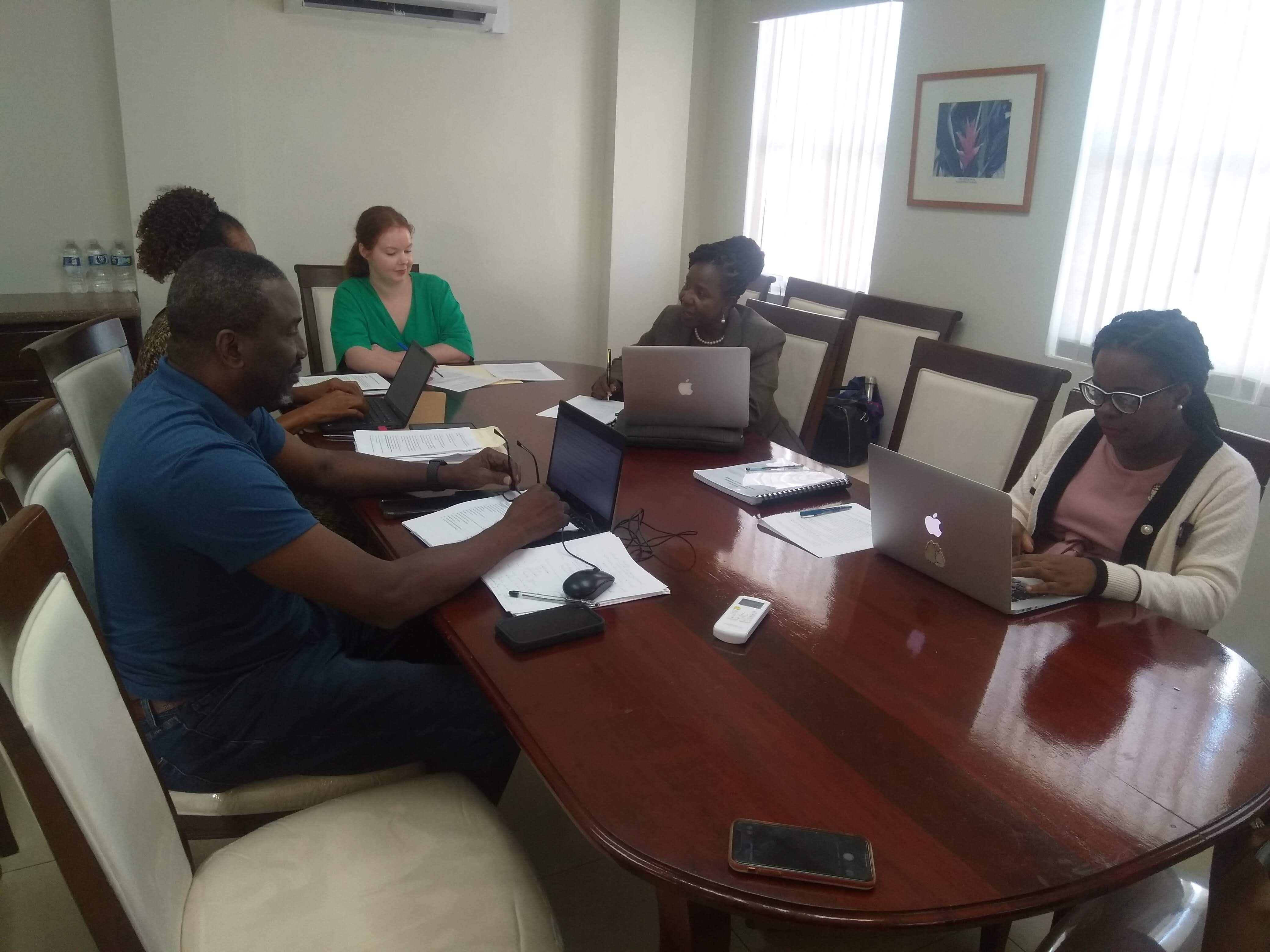 Francisca in discussion with members of the Access Special Committee