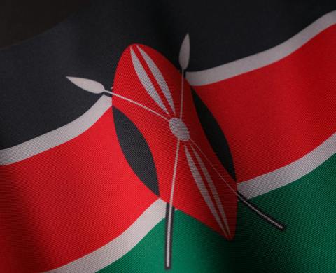 Visit by Kenya Women's Parliamentary Association listing image