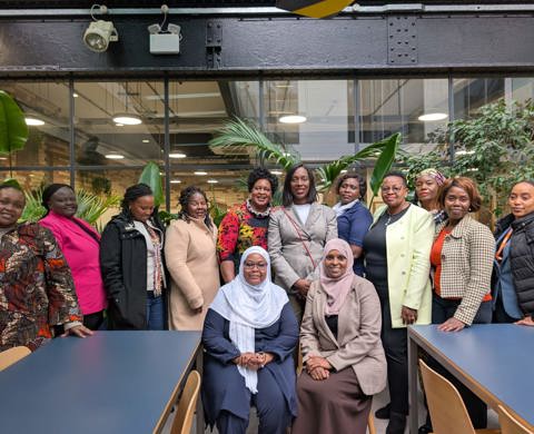 Visit by Kenya Women's Parliamentary Association listing image