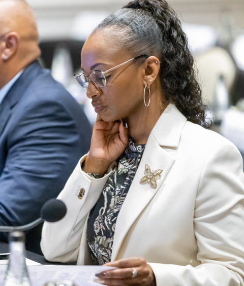 Bermuda Post Election Report Now Available listing image