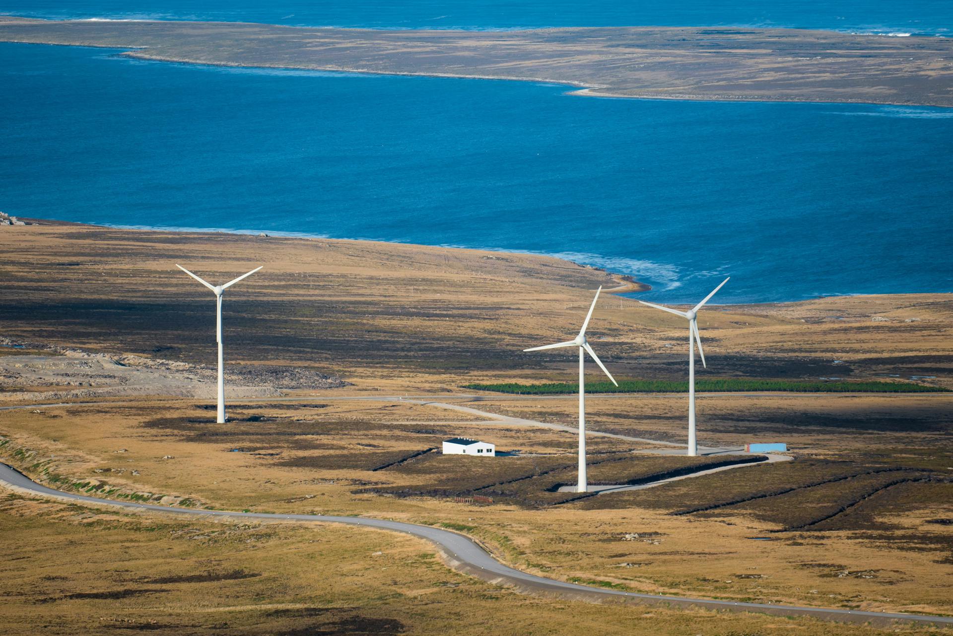 Falkland Islands Election Observation Mission listing image