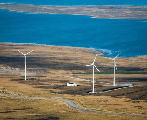 Falkland Islands Election Observation Mission listing image