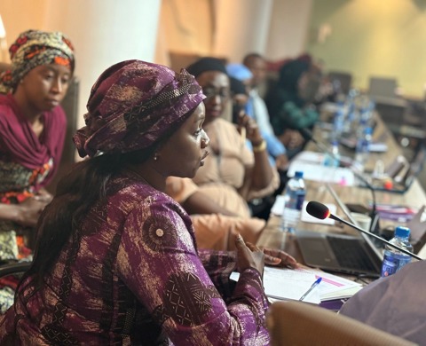 CPA UK Delegation Visit to The Gambia listing image